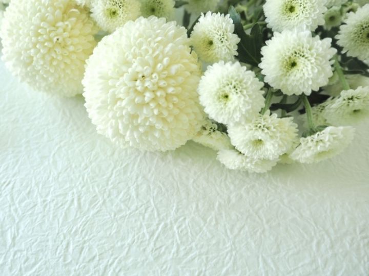 元グラビアアイドル・藤乃あおいさん死去 width=