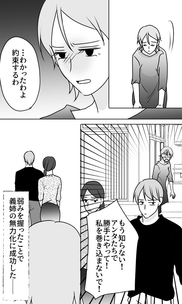 義母は悲劇のヒロイン／ちゃこ