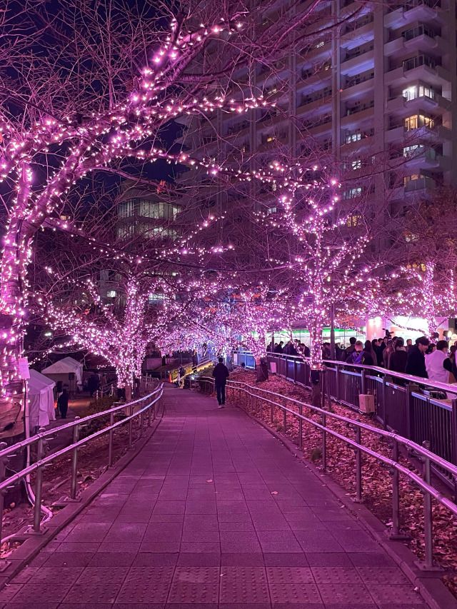 桜色のイルミネーション