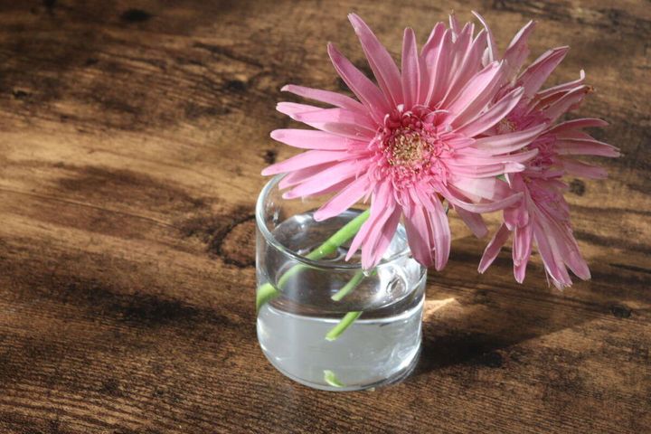 円柱ガラス鉢 使用例