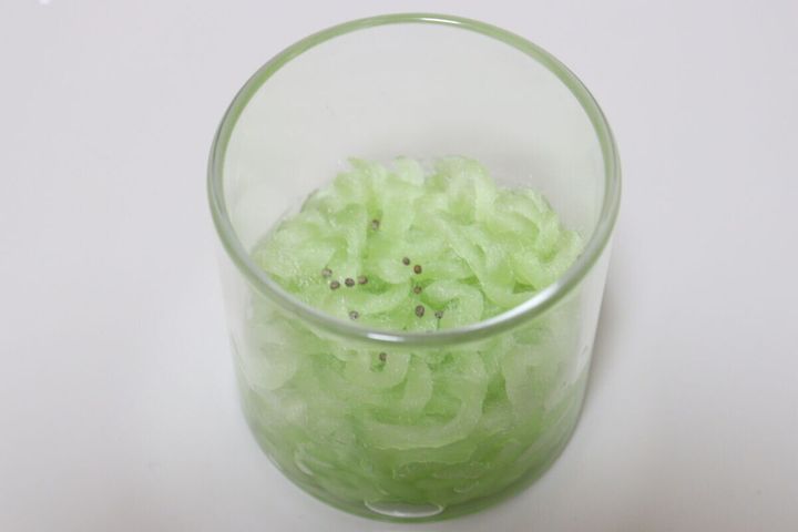 円柱ガラス鉢 水耕栽培