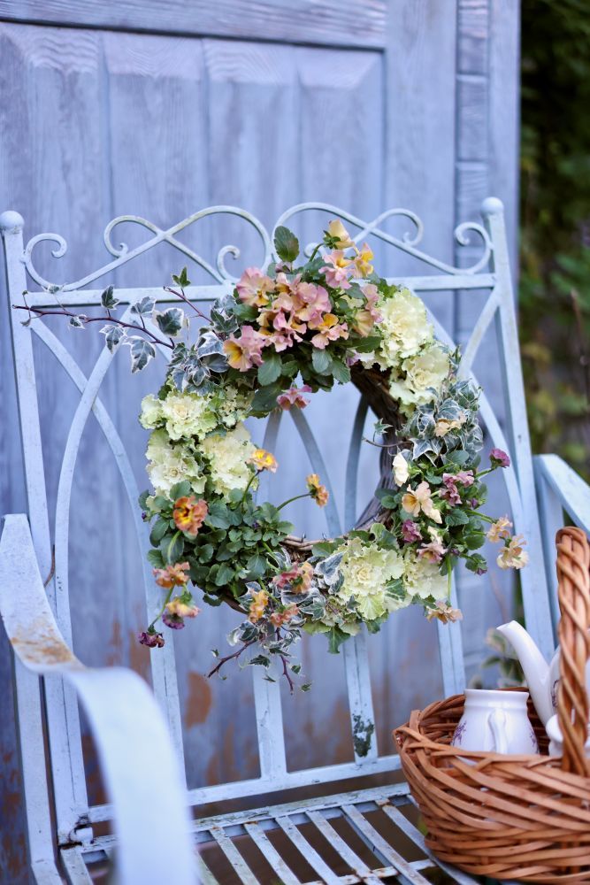 ハボタンのリース