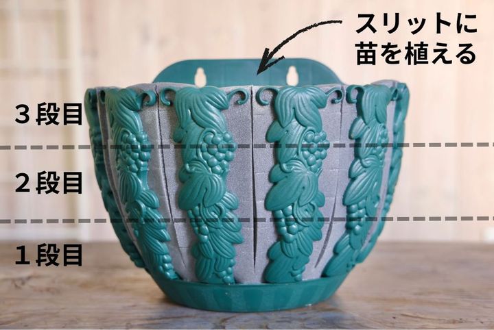 ハンギングバスケット