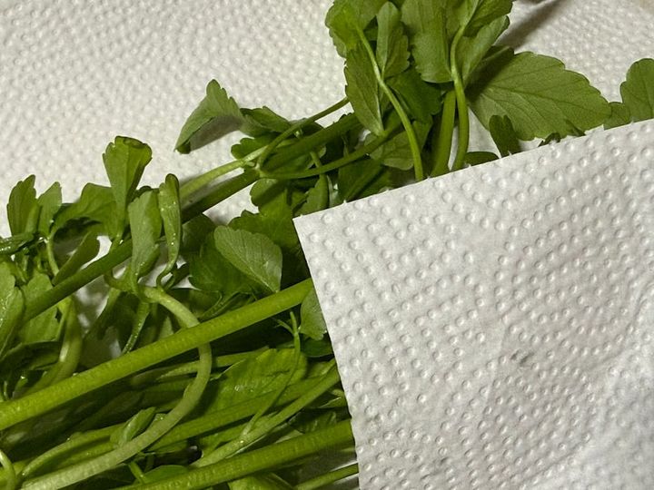 せりの保存方法