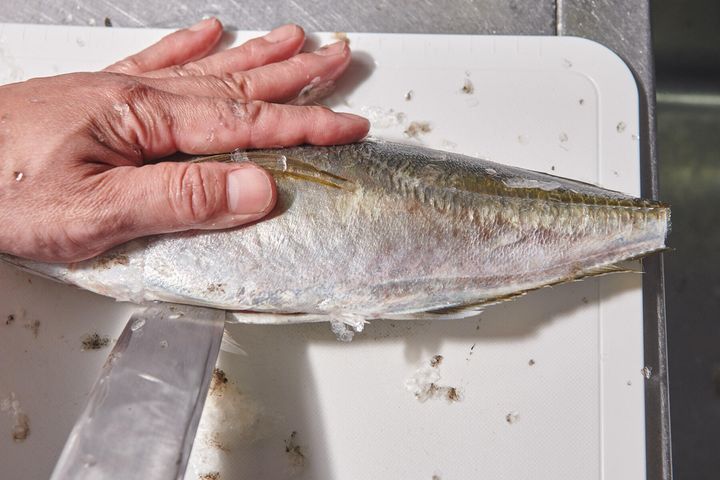 腹側を手前にして、肛門から頭の方向へ包丁を入れる。