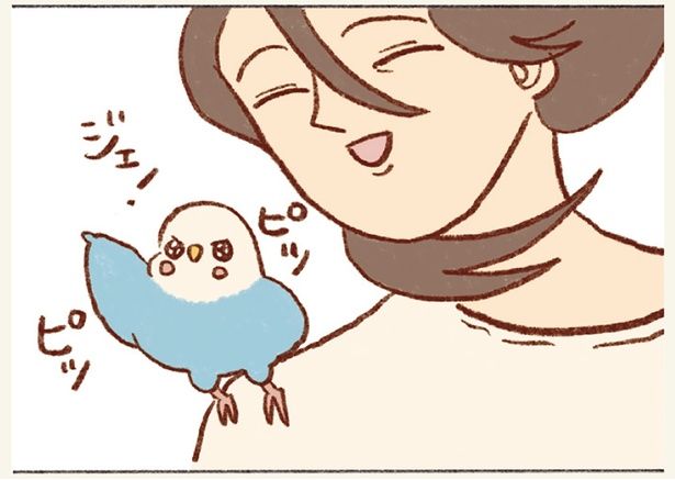 ジェ！ （C）谷小夏／KADOKAWA