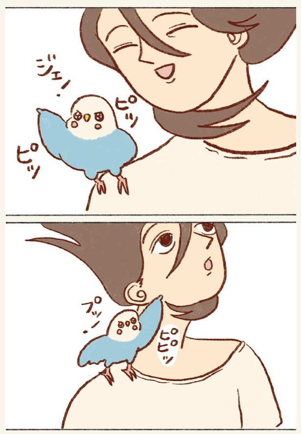 ピピッ （C）谷小夏／KADOKAWA