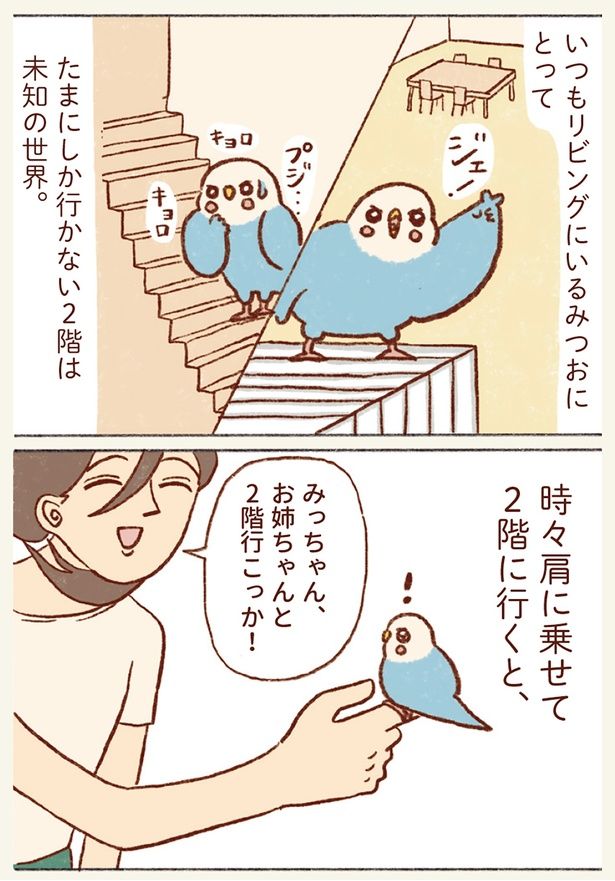 時々肩に乗せて２階に行くと （C）谷小夏／KADOKAWA