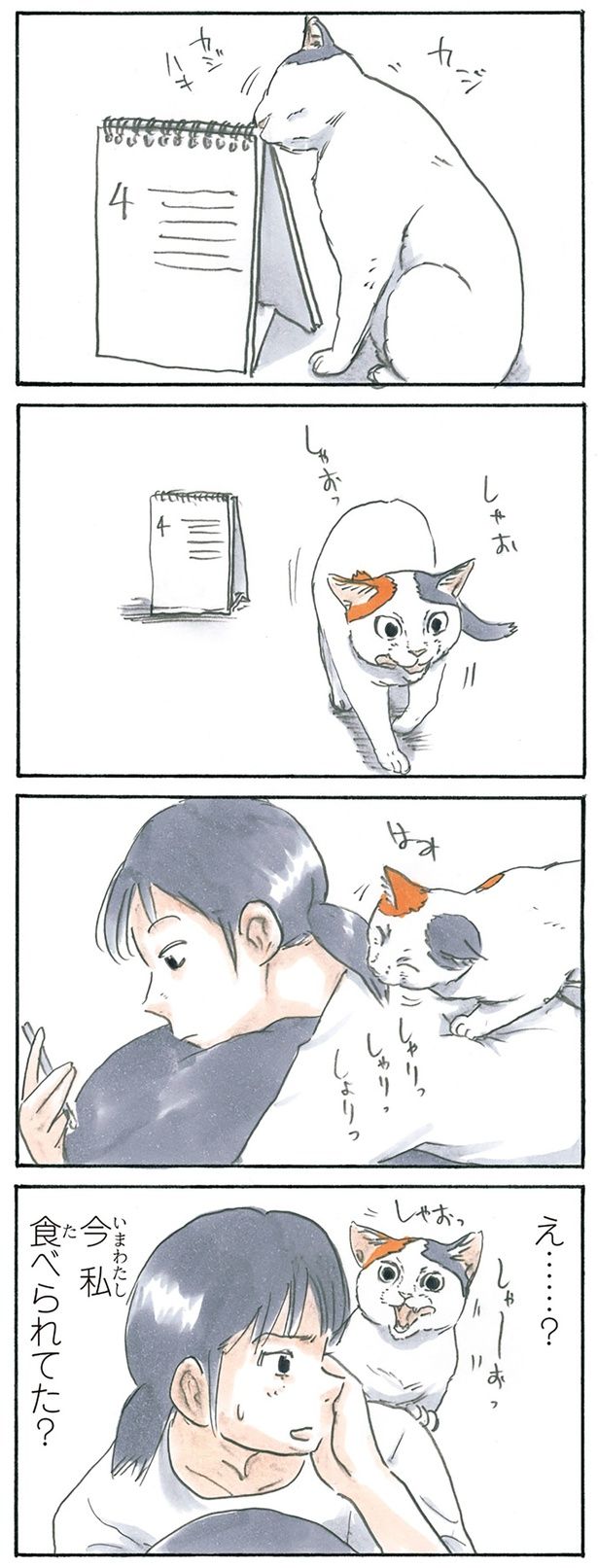 カジカジ （C）にごたろ／KADOKAWA