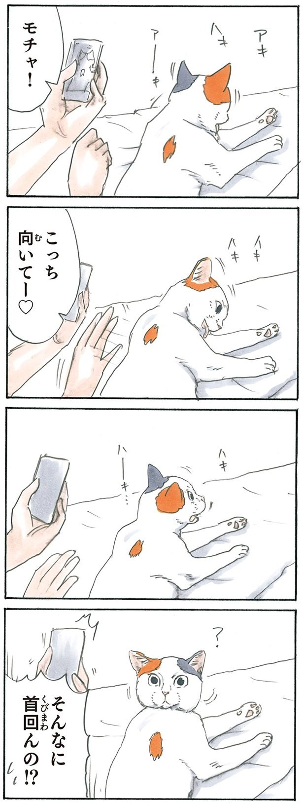 こっち向いて （C）にごたろ／KADOKAWA
