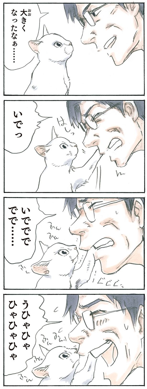 大胆ミルク （C）にごたろ／KADOKAWA