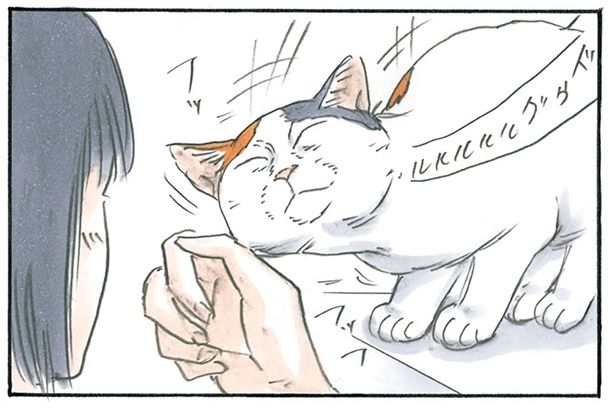 足止めされて… （C）にごたろ／KADOKAWA