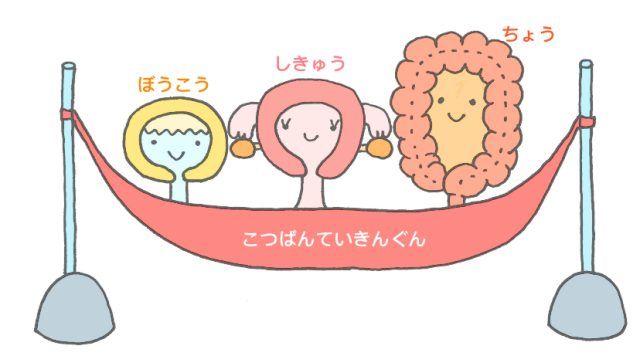 身体の中のイラスト