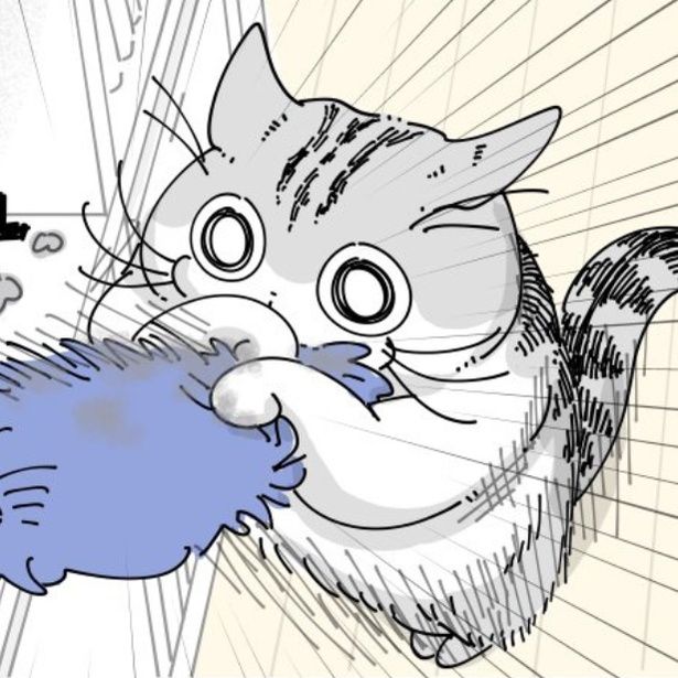 掃除用具に飛びつく猫 画像提供：キュルZ@kyuryuZ