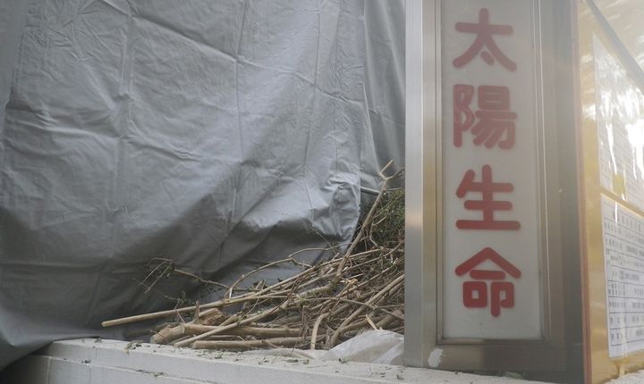 キャンプ場で薪が買えない！？到着時間別・薪の調達ルートと「失敗しない」焚き火術