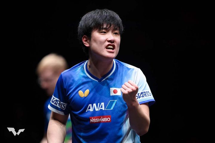 張本智和（C）WTT