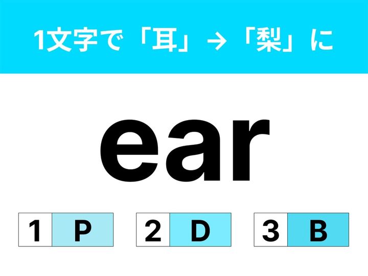 1文字足して英単語の意味を変える脳トレクイズです。「ear」を少し変えて「梨」を作るには？ じっくりと考えてみてくださいね。