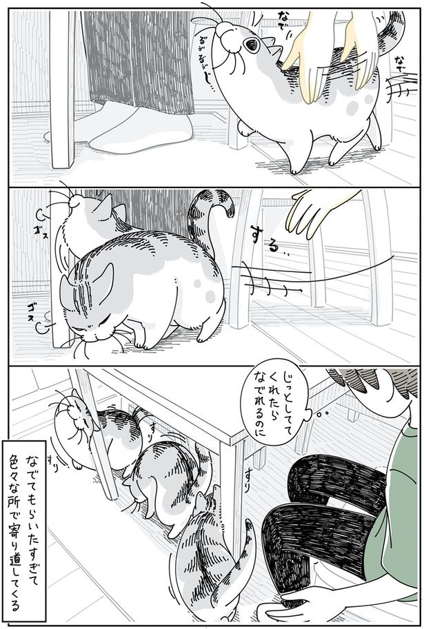 じっとしててくれたら （C）キュルZ／KADOKAWA