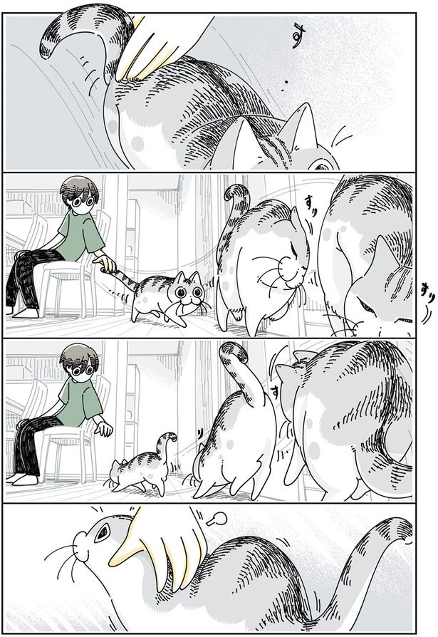 すりすり （C）キュルZ／KADOKAWA