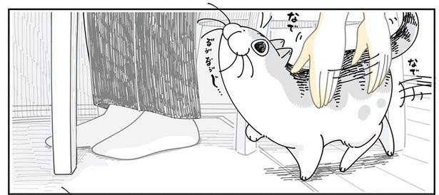 撫でられたいのに寄り道？ （C）キュルZ／KADOKAWA