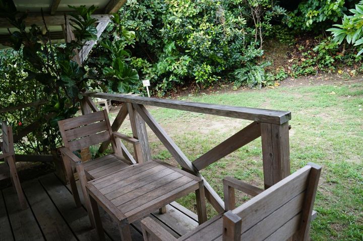 テラス席のすぐ裏手には森が広がる