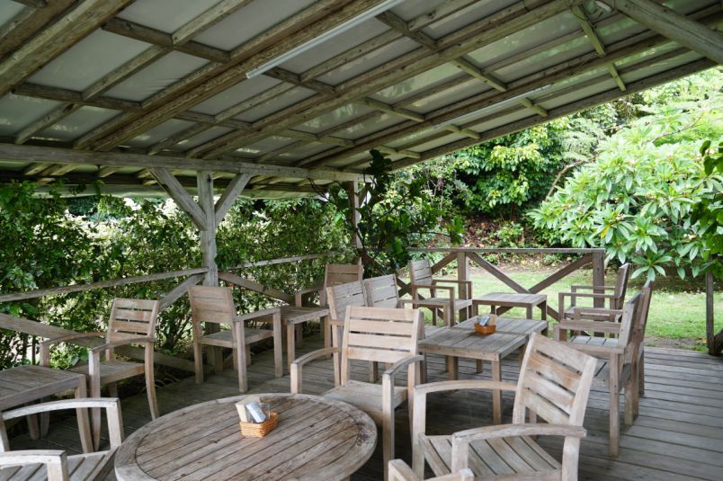 奄美・いずみ農園の果実がジェラートに