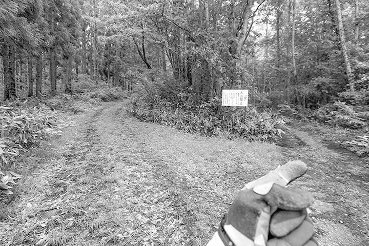 旧道の峠越えで冒険気分を味わえる｜一度は走りたい全国林道ツーリング