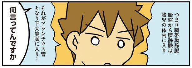 何言ってんですか （C）さーたり／KADOKAWA