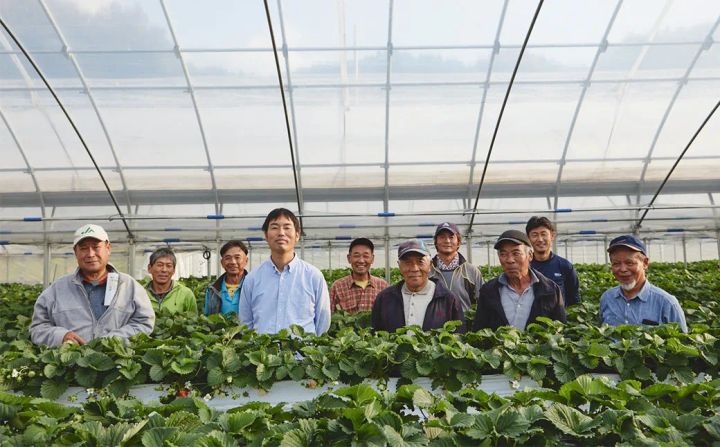 いちご栽培の温室で、笑顔でカメラに向かってポーズをとる人々のグループ。