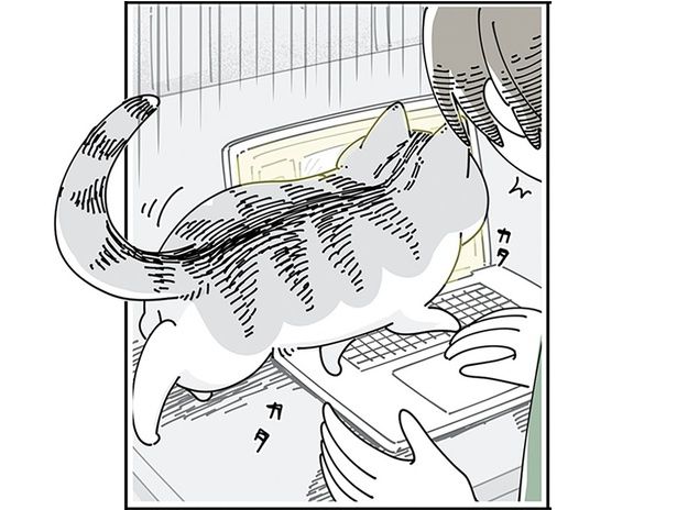 キーボードの上を歩く猫 （C）キュルZ／KADOKAWA