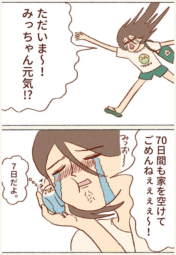 ただいま〜！ （C）谷小夏／KADOKAWA