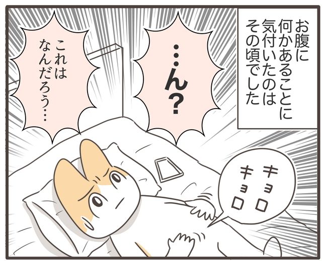 アラフィフが子宮全摘／宮島もっちー