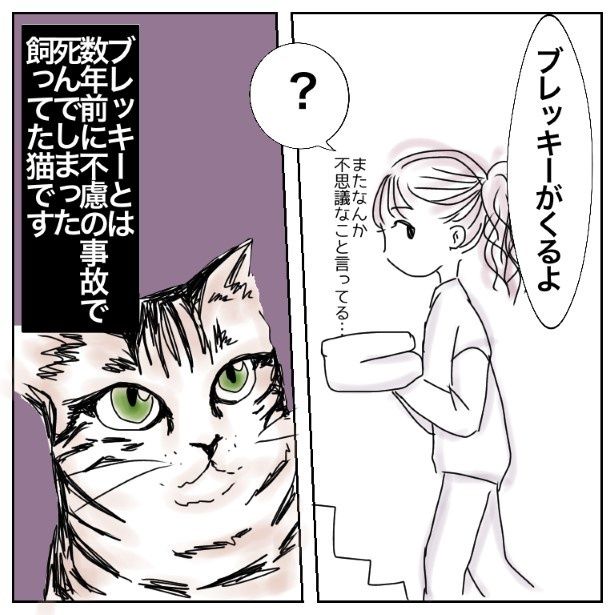 うちの猫の話_p003 (C)万福