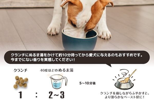 ヒューマングレードと認定されたドッグフード「オネストキッチン クランチ」がプレゼントキャンペーンを実施中