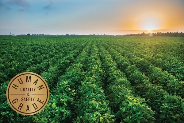 ヒューマングレードと認定されたドッグフード「オネストキッチン クランチ」がプレゼントキャンペーンを実施中