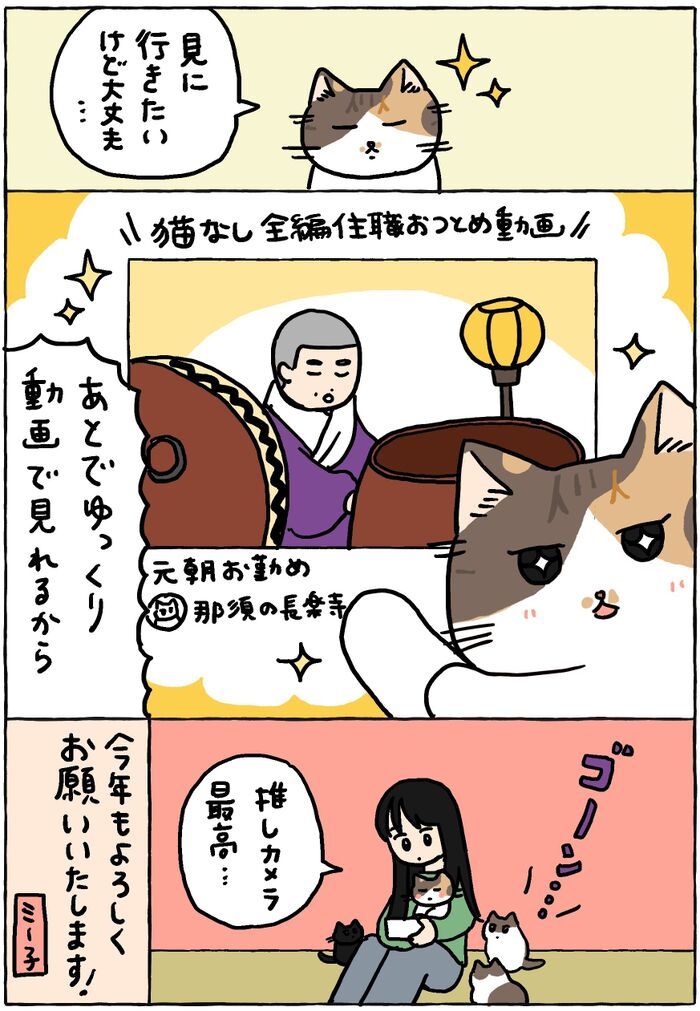 ミー子からごあいさつ。2026ver.【てらねこミー子の日常】