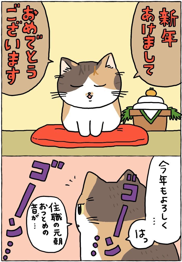 ミー子からごあいさつ。2026ver.【てらねこミー子の日常】