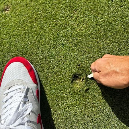 花びら型のゴルフティー「DRIVE TEE」が公式発売1周年。摩擦を押さえて飛距離アップ！