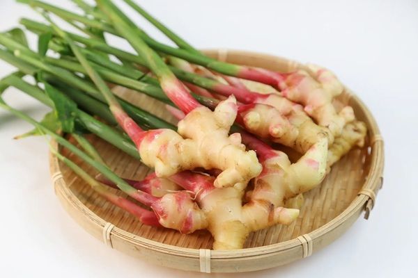 「谷中クラフトコーラ」が伝統食材「谷中ショウガ」を使用したシロップを発売！