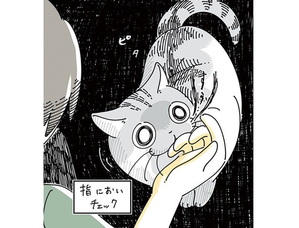 においチェック中 （C）キュルZ／KADOKAWA