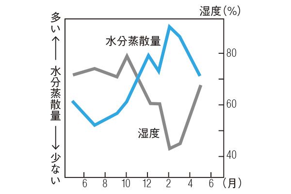水分蒸散量と湿度のグラフ