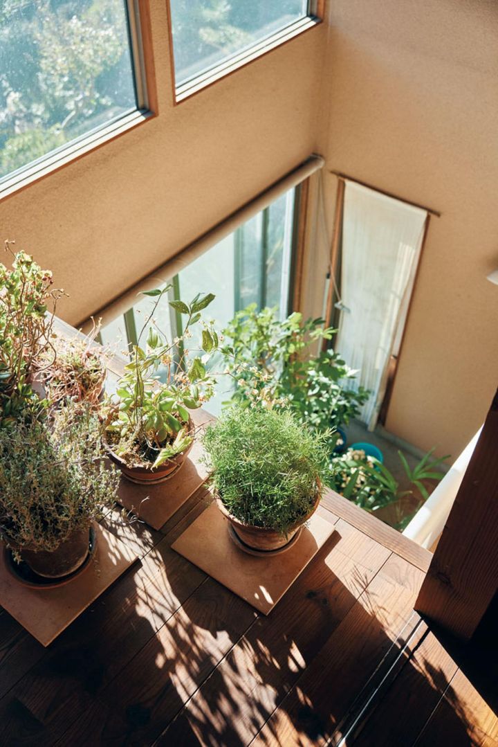 南側には1階の気配が伝わる吹き抜けのサンルーム的空間が。寒さに弱い植物の冬の避難場所でもあります。