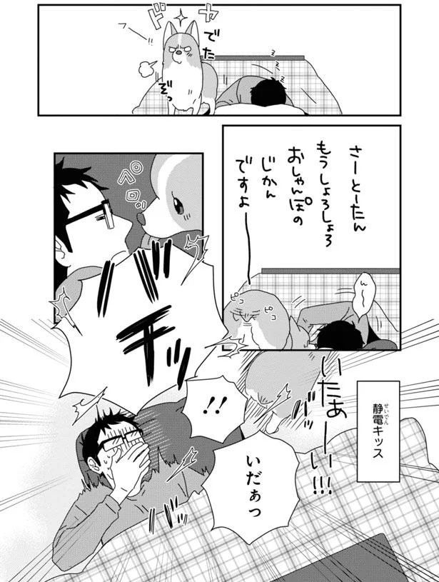 もうしょろしょろ おしゃんぽのじかんですよ～ (C)らくだ／KADOKAWA