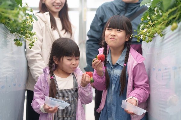 【長野県飯島町】グランピング施設「アルプスBASE」に「季節限定いちご狩りプラン」「学割プラン」登場