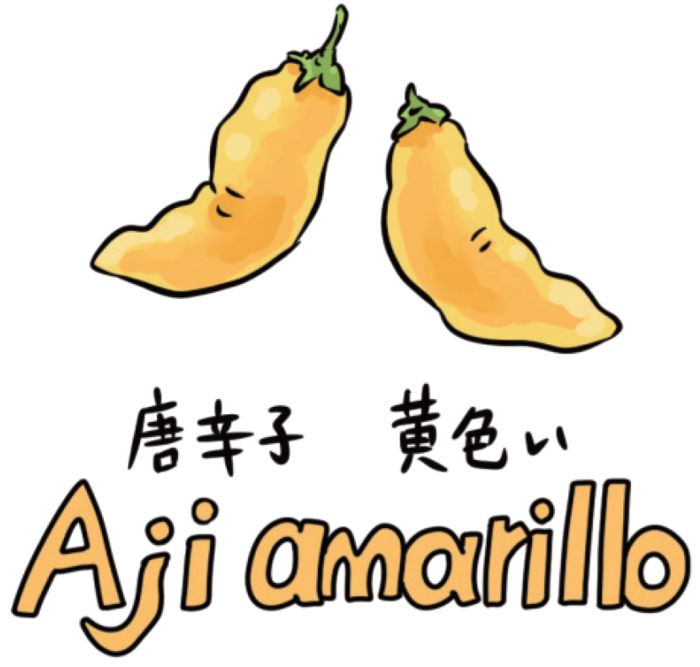黄色い唐辛子「アヒ・アマリージョ（Aji amarillo）」のイラスト。スペイン語名と「黄色い唐辛子」という説明が添えられている。