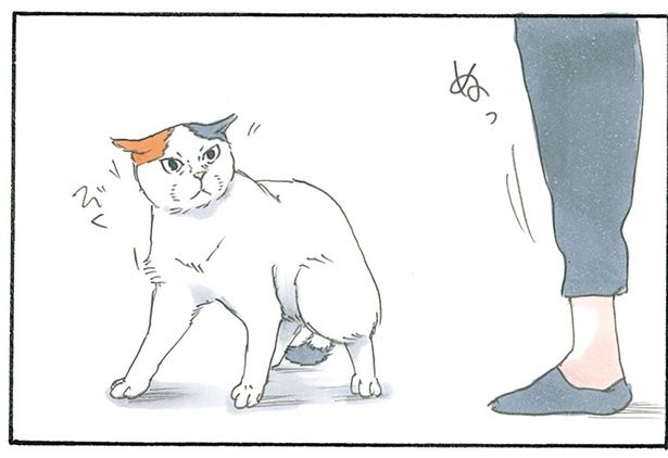 ビクッ （C）にごたろ／KADOKAWA