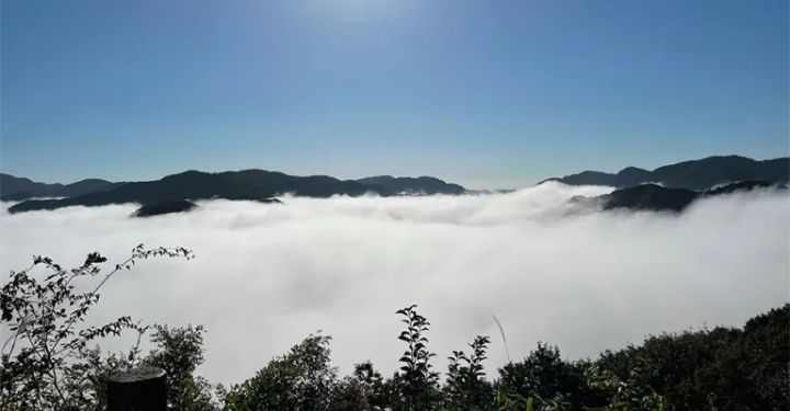 貝印2026年福袋の中身は？公式非公開でも大当たりな関孫六セットを紹介