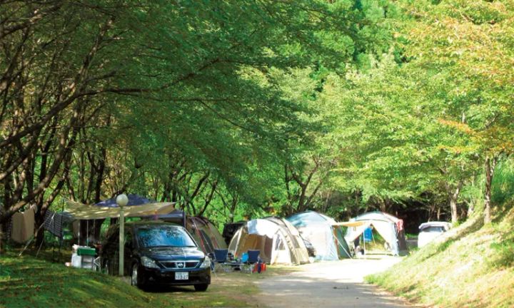 天然のプラネタリウム！星空を楽しめるキャンプ場7選【兵庫県】