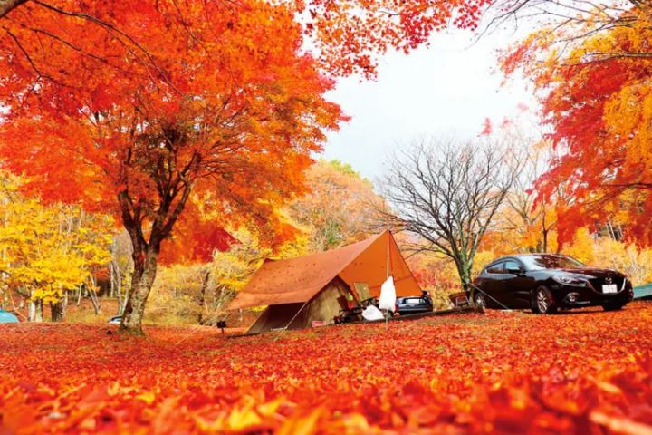 天然のプラネタリウム！星空を楽しめるキャンプ場7選【兵庫県】