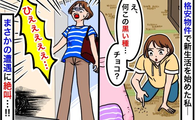 恐怖体験 イメージカット